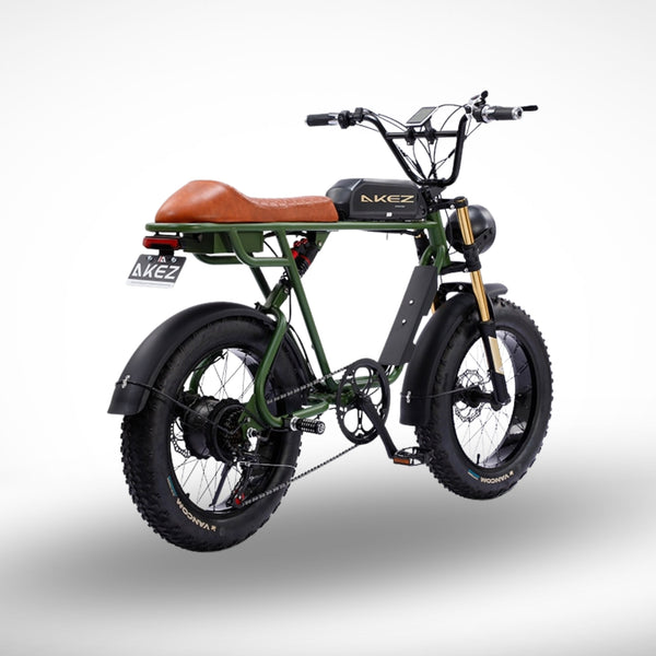 Akez Fat Tire Dual Battery E-Bike GREEN/BLACK - Pro E-Rides