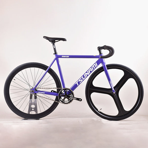 Aluminum Alloy Frame Fixed Gear Bike - Pro E-Rides