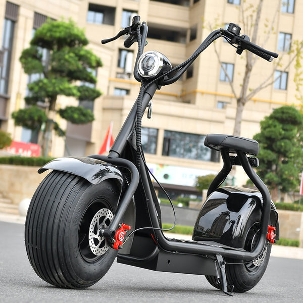Electric Scooter 1000W - Pro E-Rides
